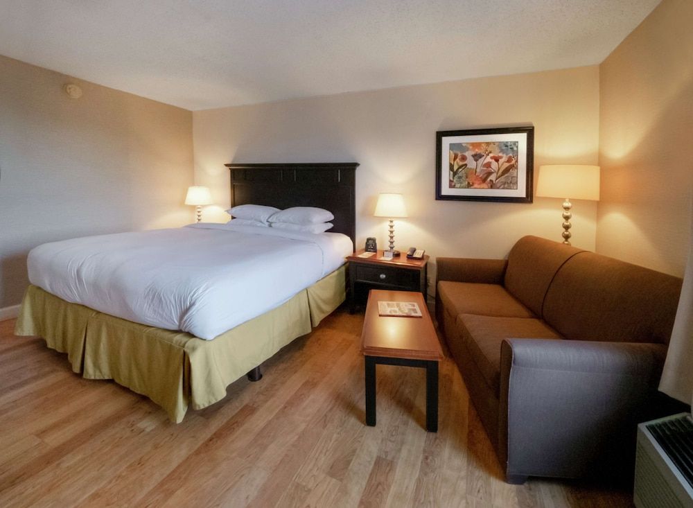 Standard Room, 1 King Bed with Sofa bed