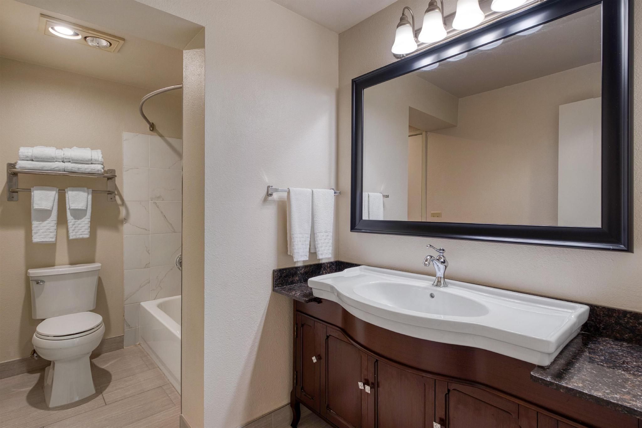 Suite - 1 King Bed, Nonsmoking, Ground Floor, Sofabed, Kitchen