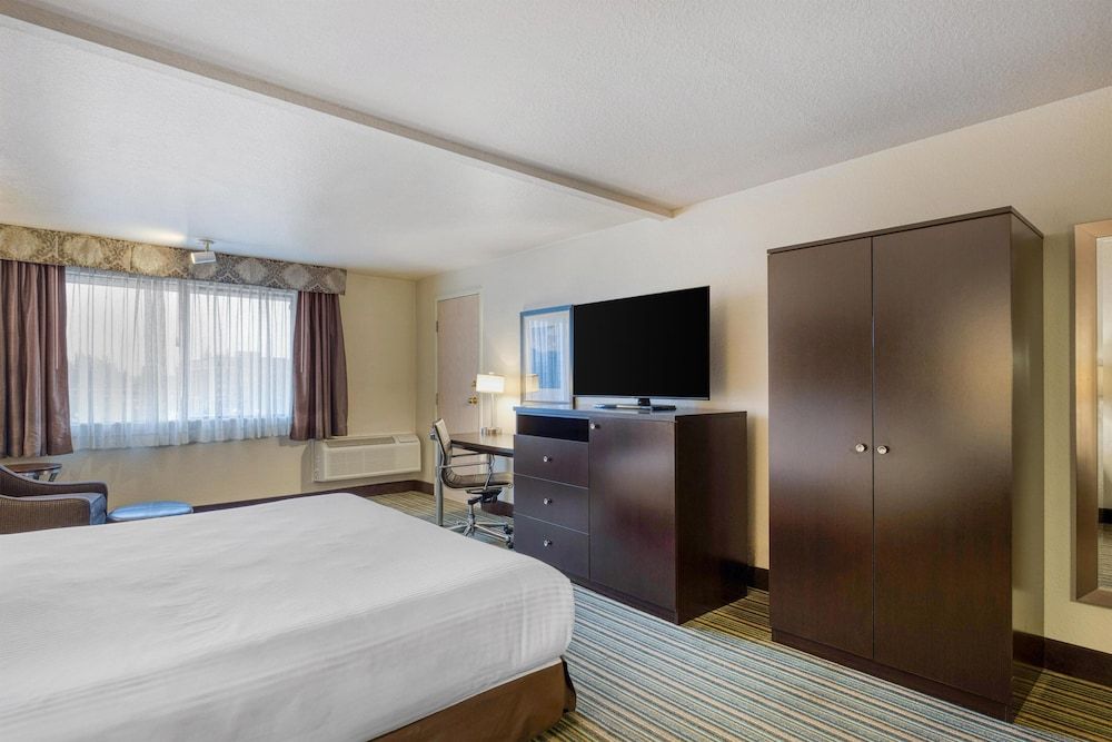 Standard Room, 1 King Bed, Accessible, Non Smoking (Larger Room)