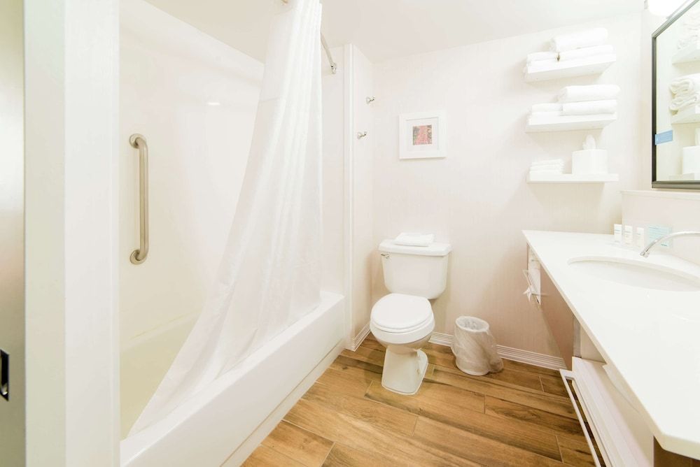 Room, 1 King Bed with Sofa bed, Accessible, Lake View (Hearing)