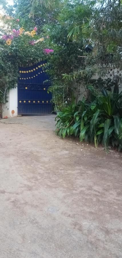 undefined Meya Beach Walk Hotel 8