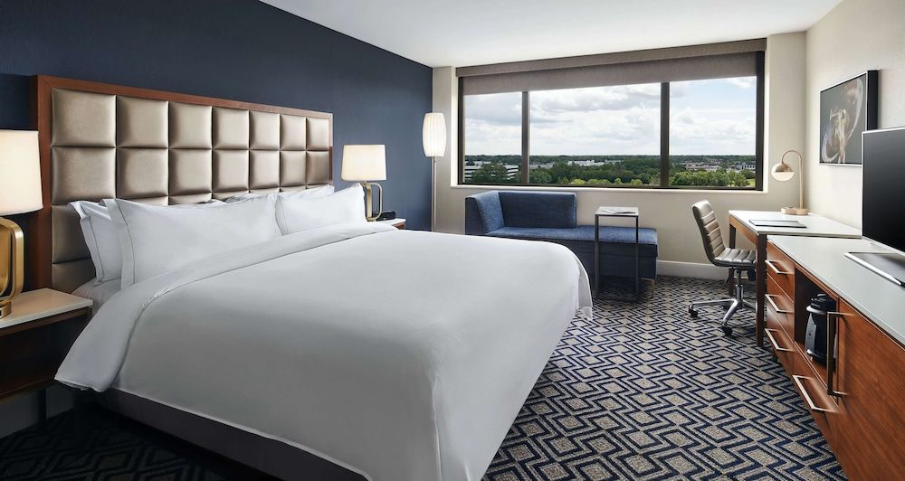 Room, 1 King Bed