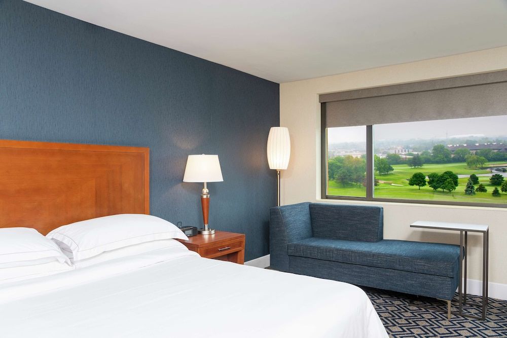 Room, 1 King Bed, Accessible