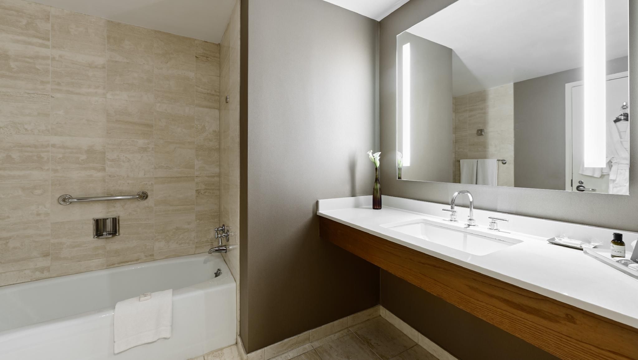Deluxe King Mobility Accessible Grab Bar, Chicago Cityscape View