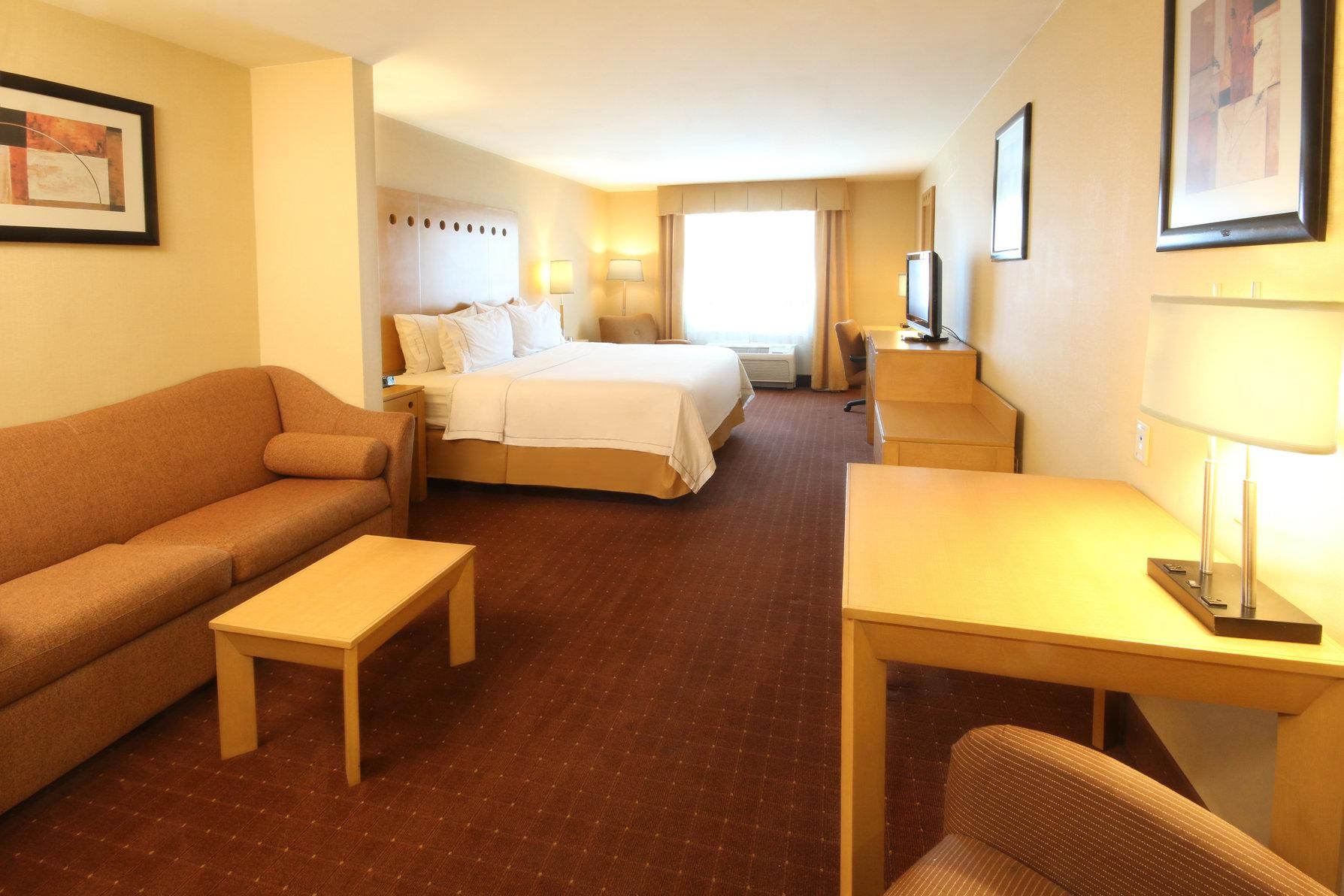 1 King 1 Bedroom Suite
