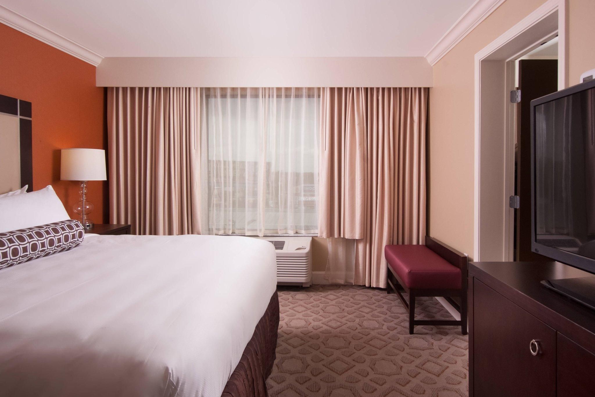 1 Bedroom Suite, 1 King, Sofa bed