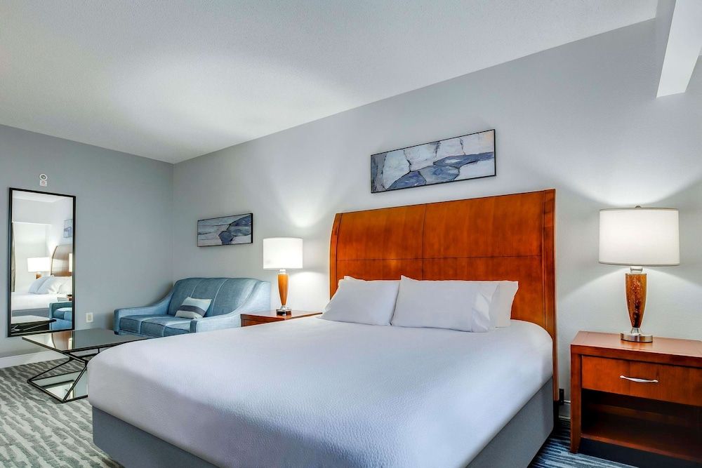 Deluxe Room, 1 King Bed with Sofa bed
