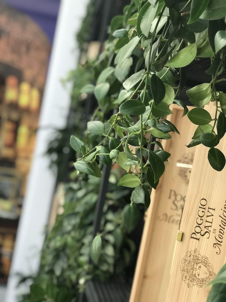 undefined Hotel Colosseo Tirana 4