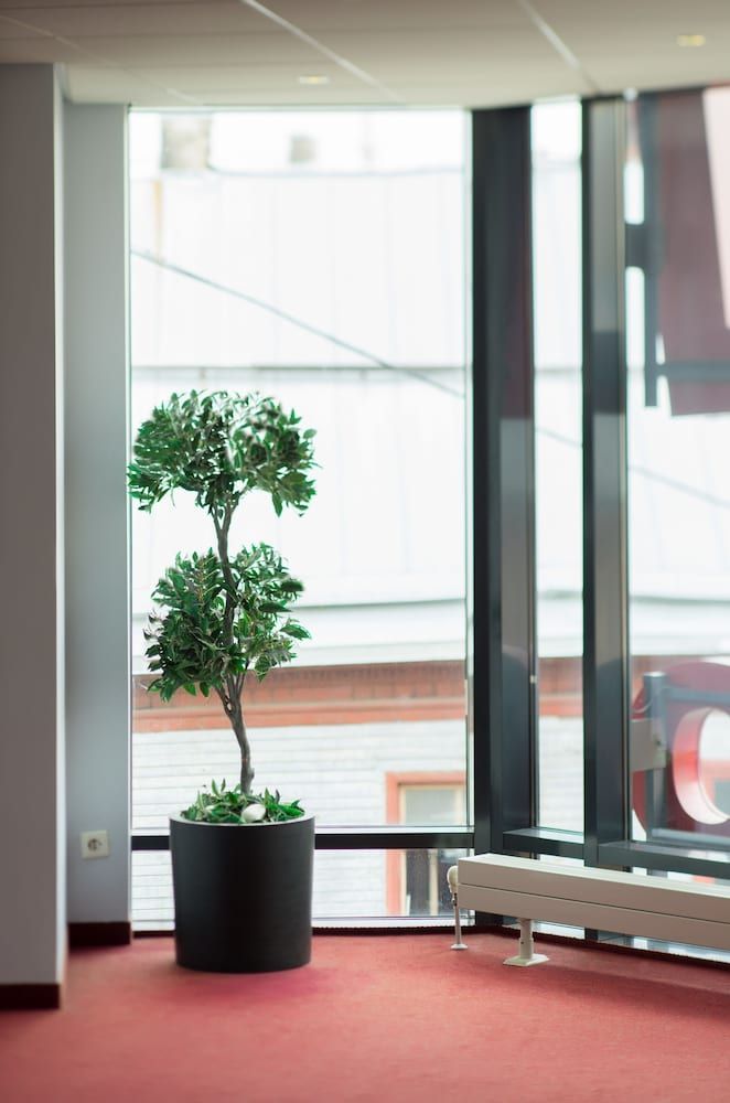 undefined Dodo Hotel 6