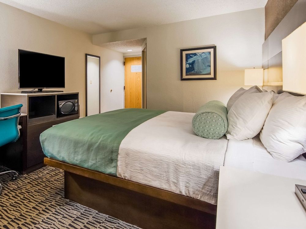 Standard Room, 1 King Bed, Non Smoking