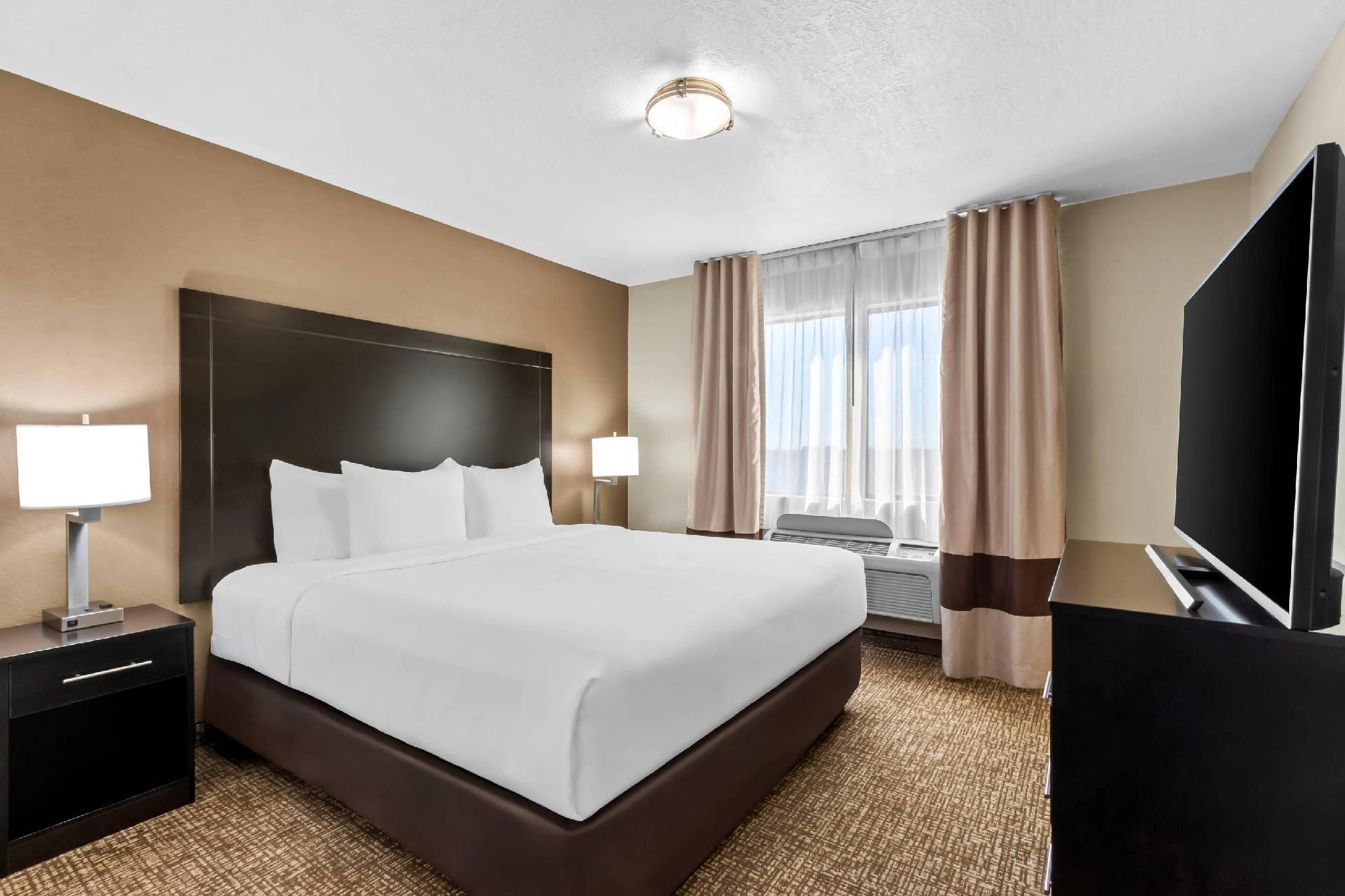 1 King Bed, Suite, Nonsmoking