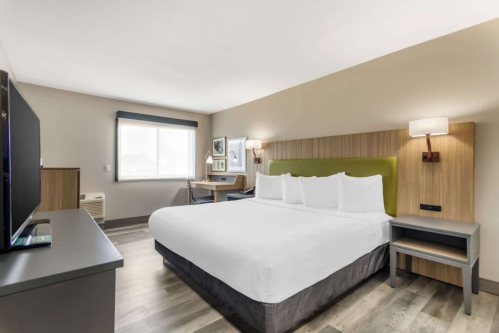 Room, 1 King Bed, Accessible, Non Smoking