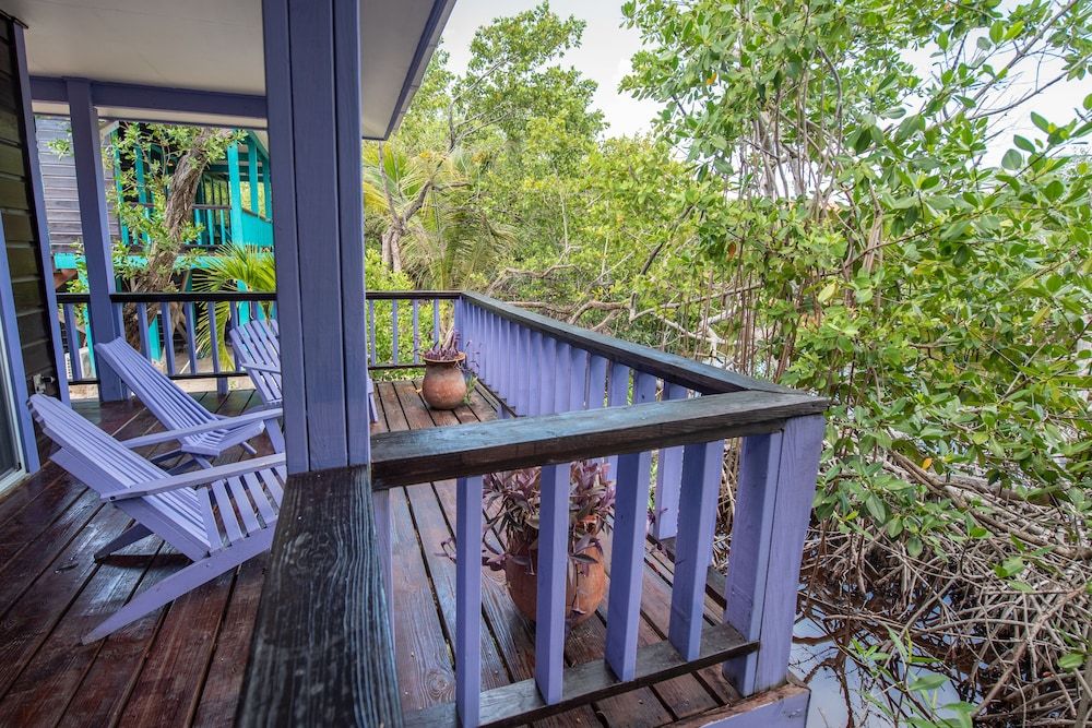 Bella Vista Resort Belize TARPON HOUSE: 1 Bedroom, Resort View, Garden Area 13