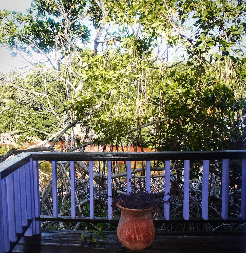 Bella Vista Resort Belize TARPON HOUSE: 1 Bedroom, Resort View, Garden Area 7