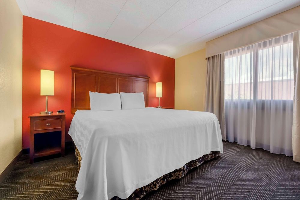Suite, 1 King Bed, Non Smoking, Refrigerator & Microwave (with Sofabed)