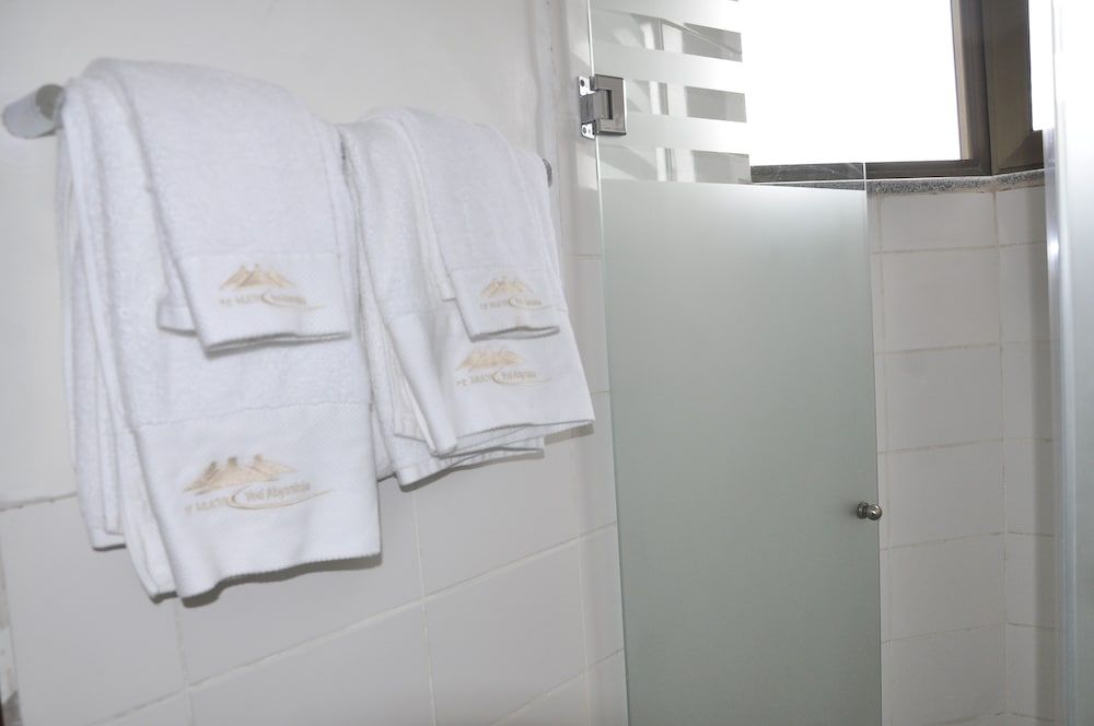 Yod Abyssinia International Hotel Twin Room 9