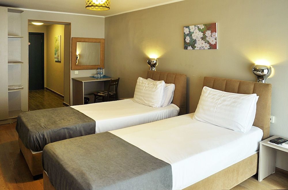 Art Hotel Claude Monet Standard Twin Room 2