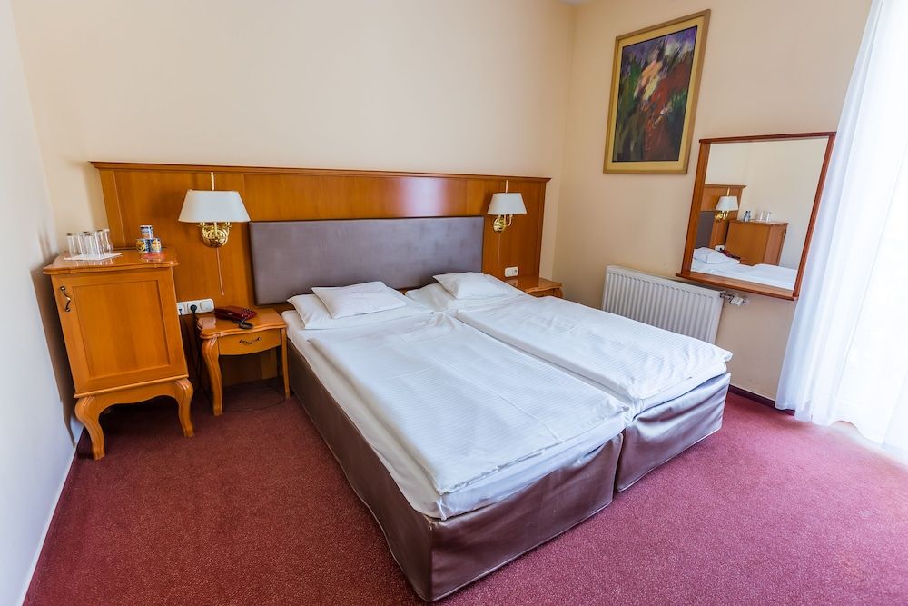 Pannonia Hotel Superior Double Room 2