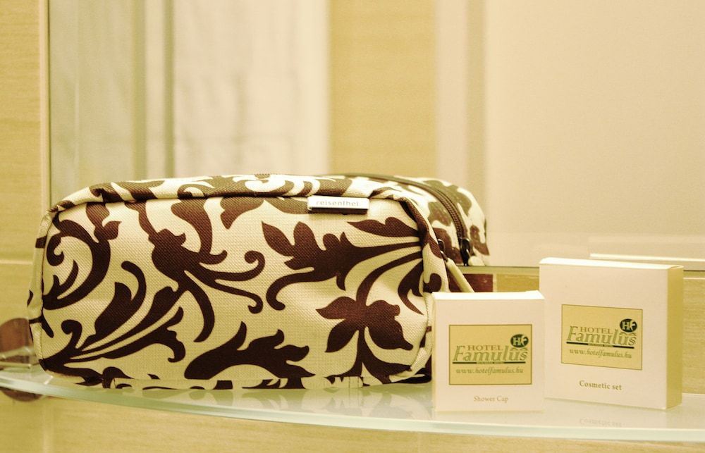 Famulus Hotel Standard Twin Room 4