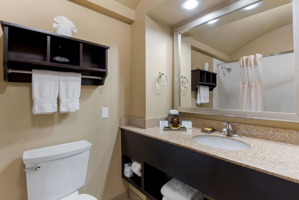 Best Western Plus Arlington North Hotel & Suites Standard Room, 1 King Bed, Accessible, Jetted Tub (with Single Sofabed) 5