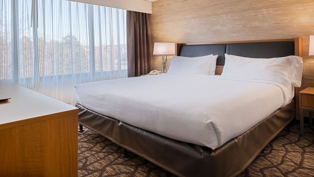 Suite, 1 King Bed