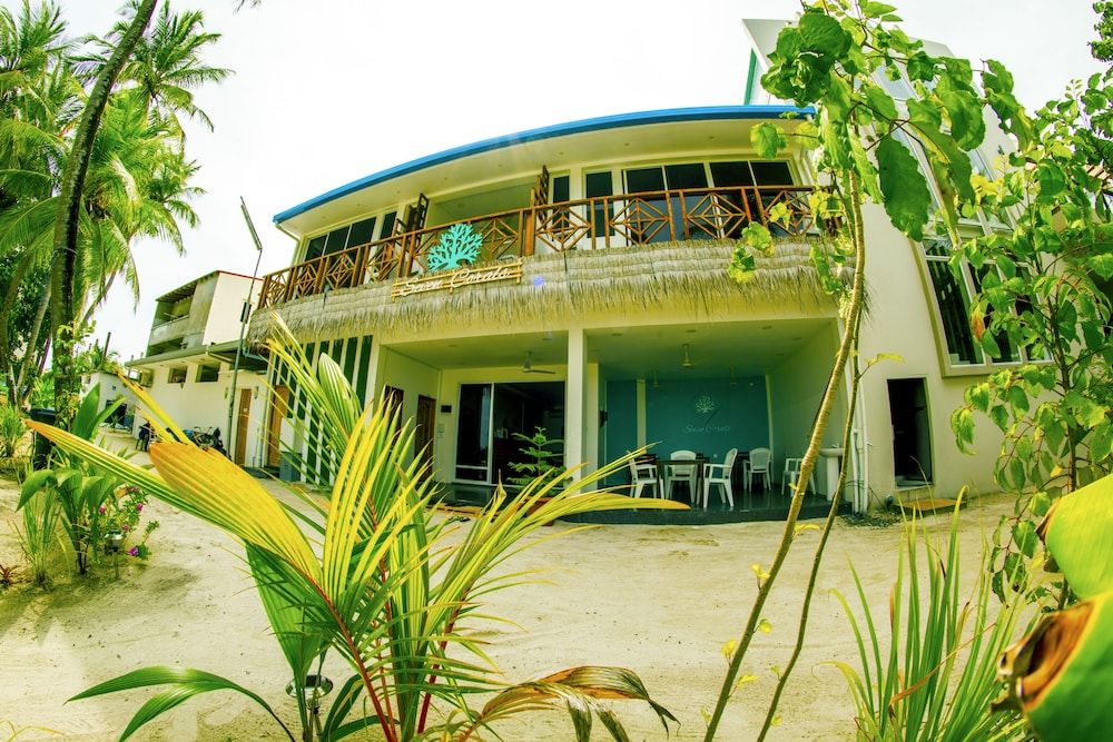 undefined Seven Corals 10