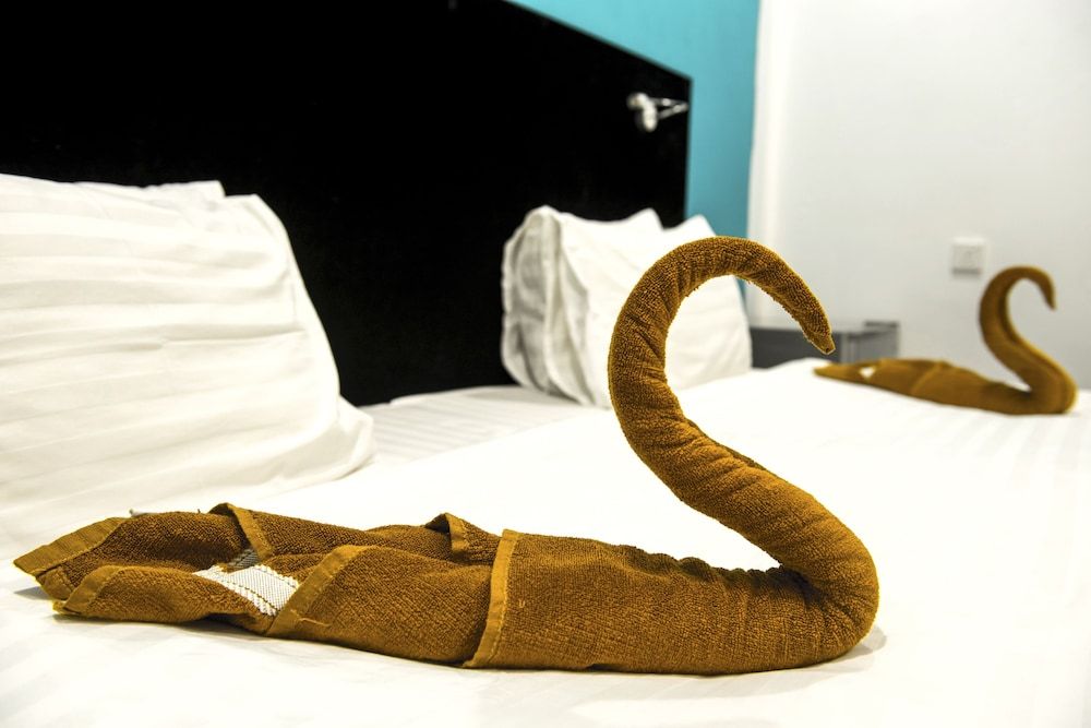 undefined Seven Corals 2