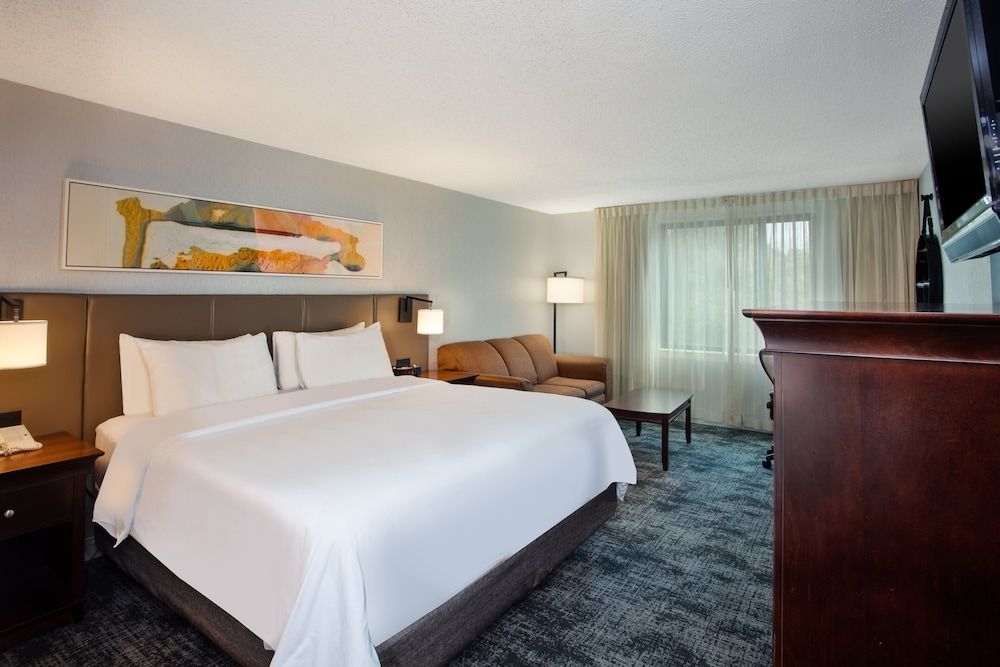Standard Room, 1 King Bed with Sofa bed