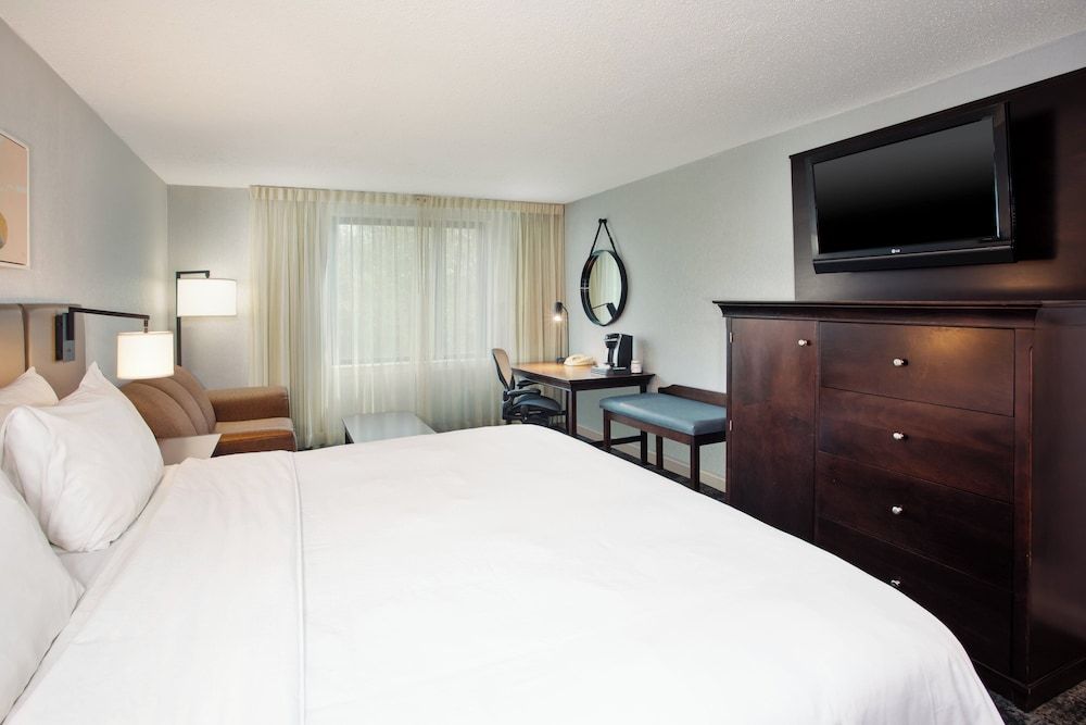 Suite, 1 King Bed with Sofa bed