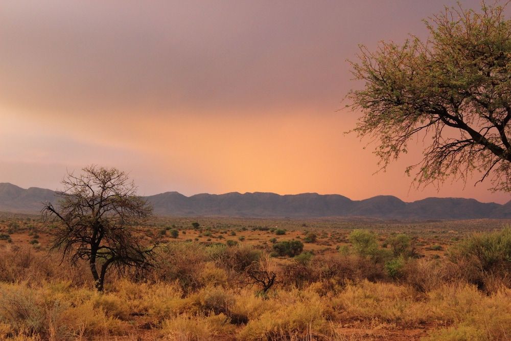 Auas Safari Lodge Double Room 9