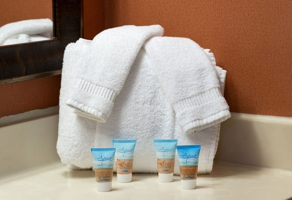 Hotel Monte Carlo Ocean City Single Room, 2 Double Beds, City View (ADA) 9