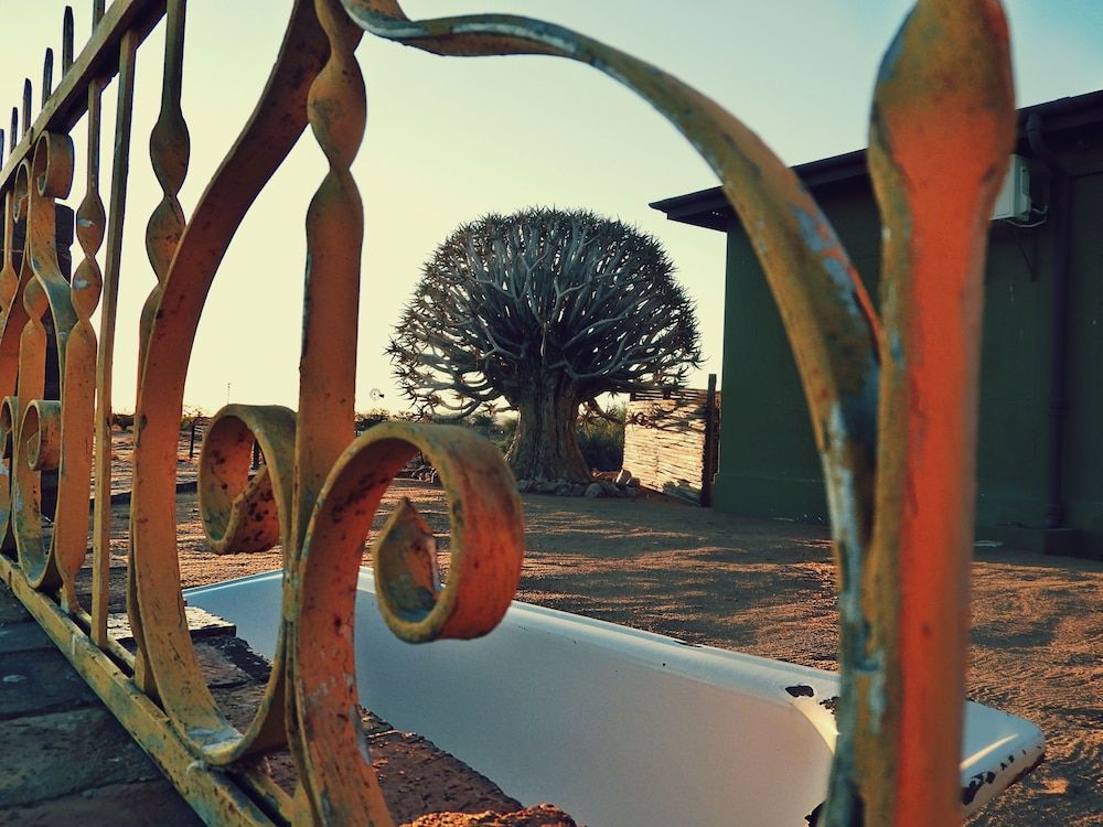 Children's Play Area