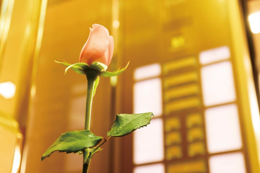 undefined Imperial Hotel, Tokyo 8