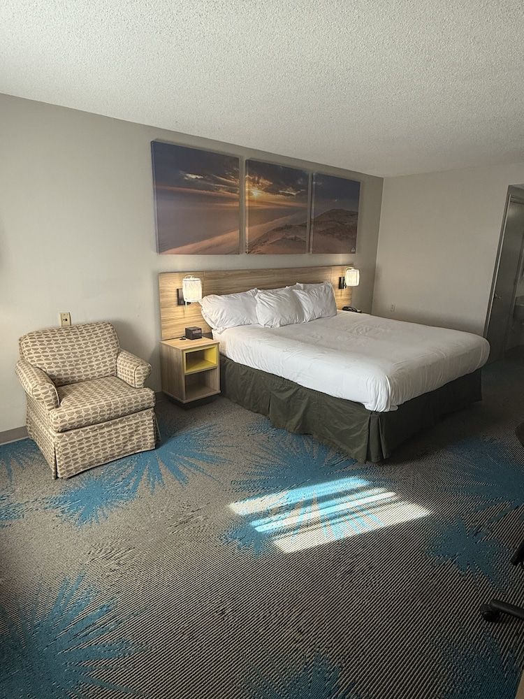 Room, 1 King Bed, Non Smoking