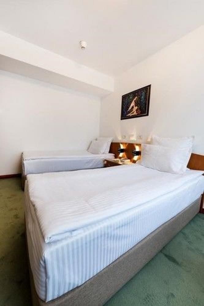 undefined Hotel Duke Romana 9