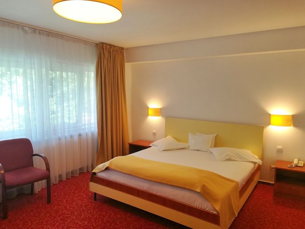undefined Hotel Herastrau 4