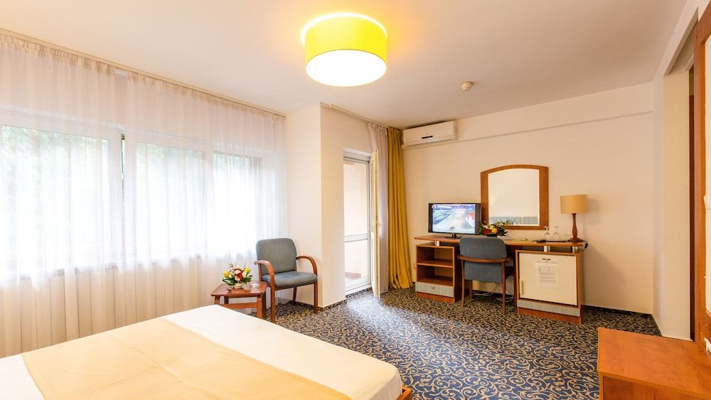 undefined Hotel Herastrau 3