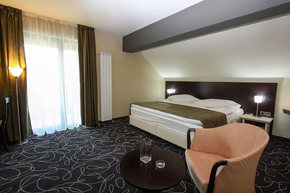 Hotel Orizont King Bed Executive Room 2
