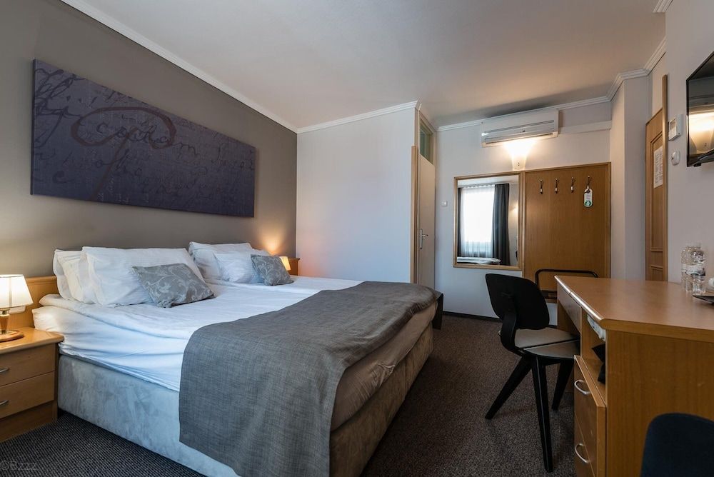 Hotel Mrak 4* Standard Double Room (Loft) 6