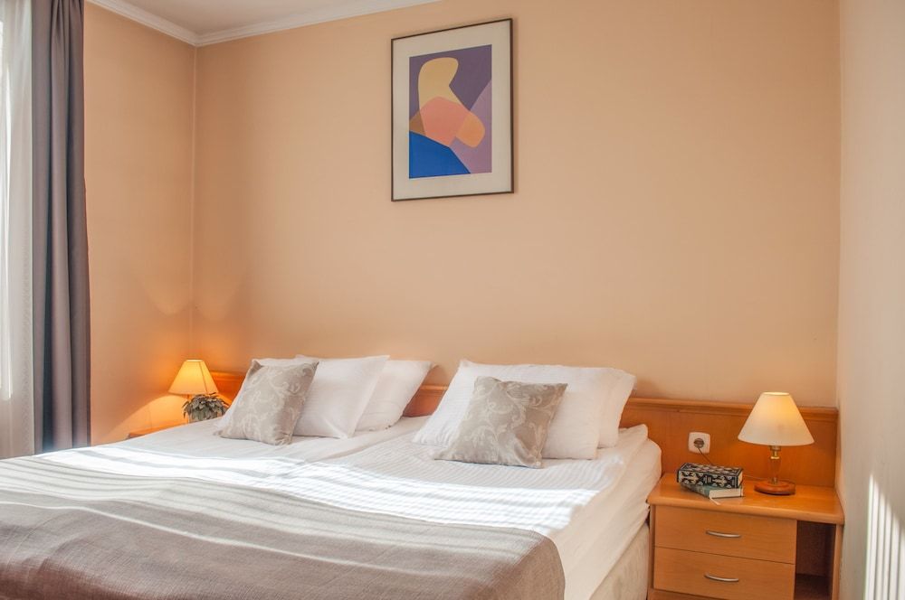 Hotel Mrak 4* Standard Double Room (Loft) 2