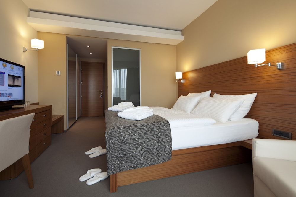 Bohinj Eco Hotel Standard Double or Twin Room, Mountainside 2