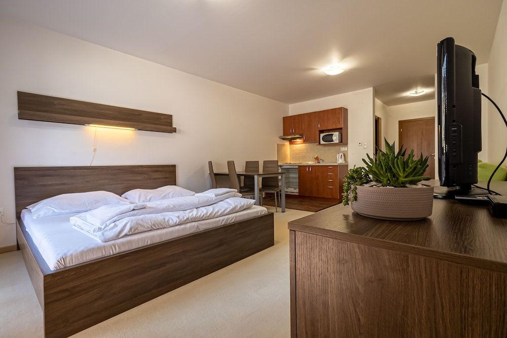 Fatrapark 2 Apartments Standard Studio 4