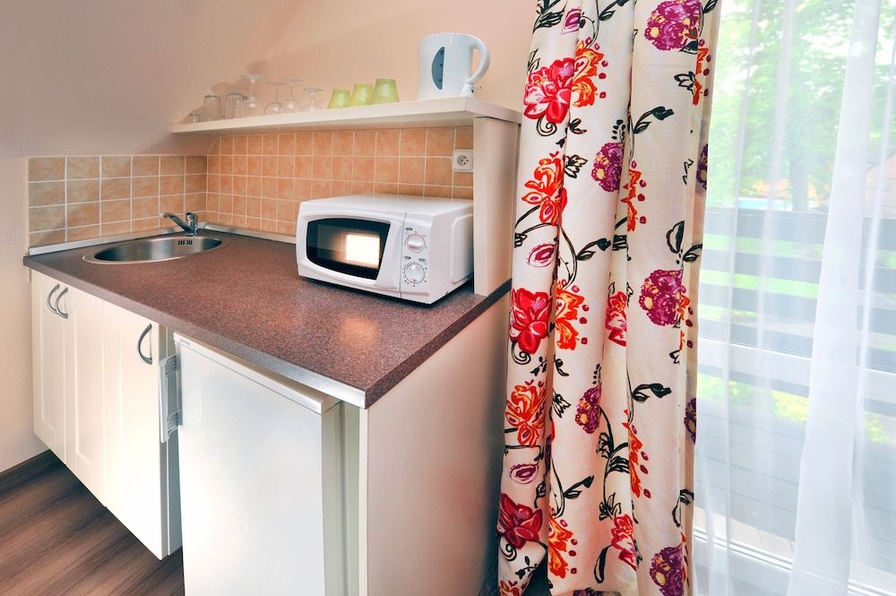 APLEND Villas Tatry Holiday Classic Studio, Kitchenette 18