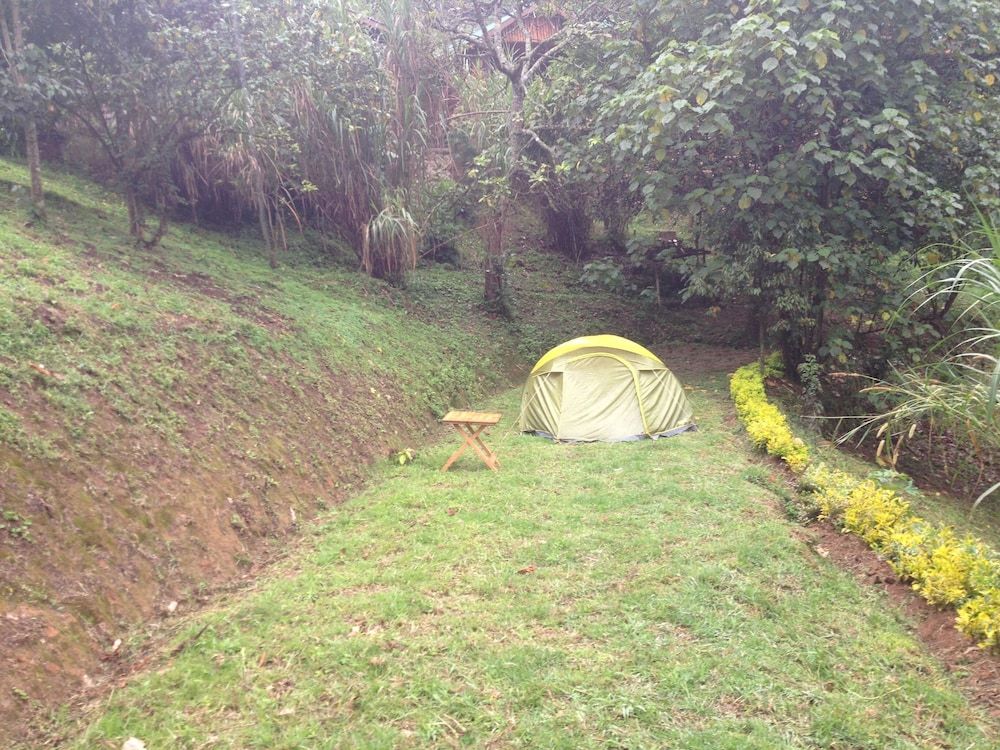 Rushaga Gorilla Lodge Basic Tent 2