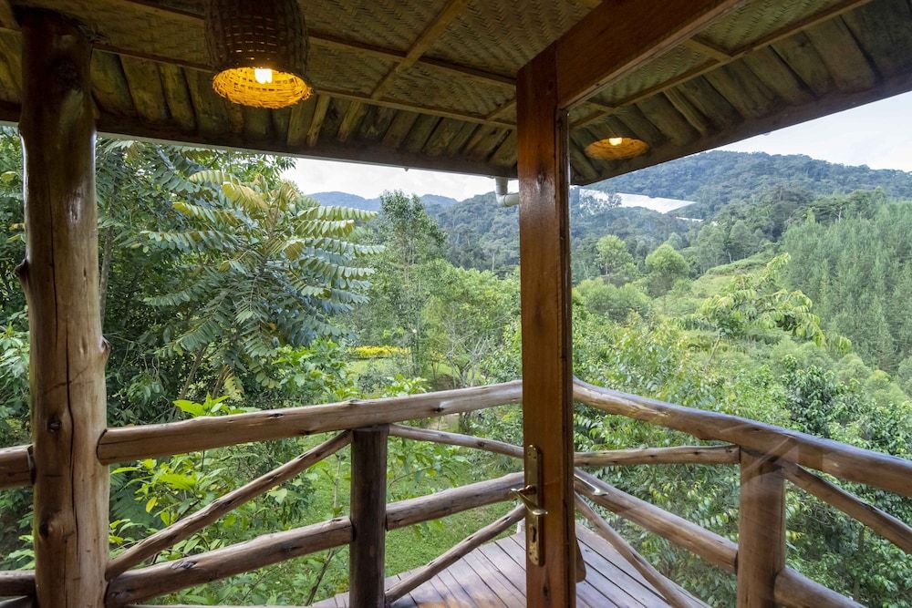 Rushaga Gorilla Lodge Standard Room 5