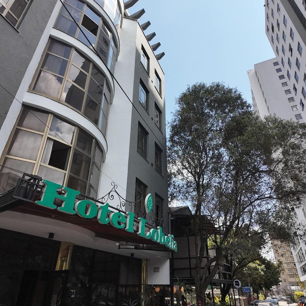 undefined Hotel Lobelia 9