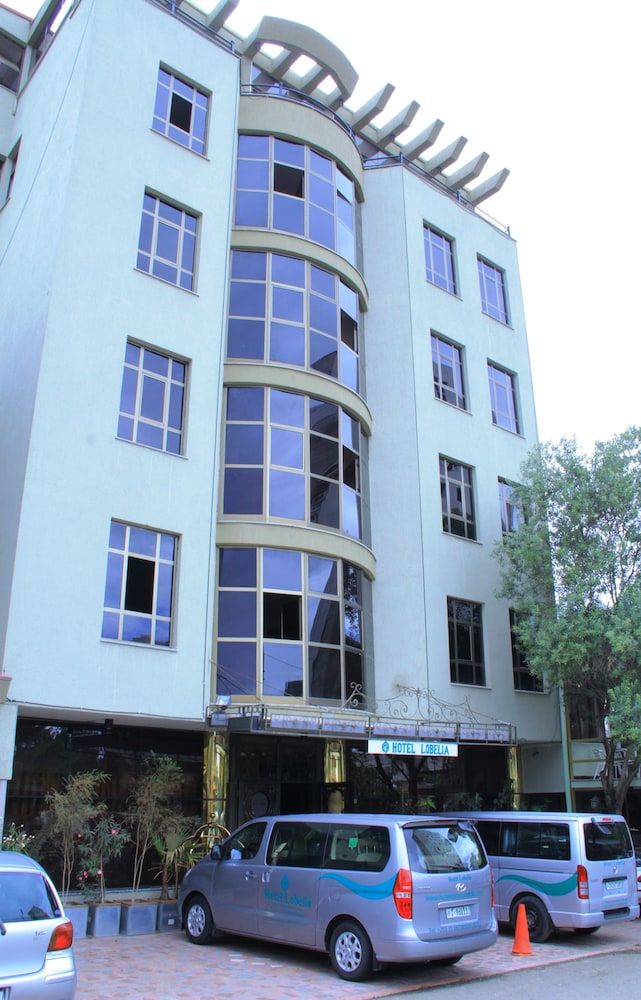 undefined Hotel Lobelia 7