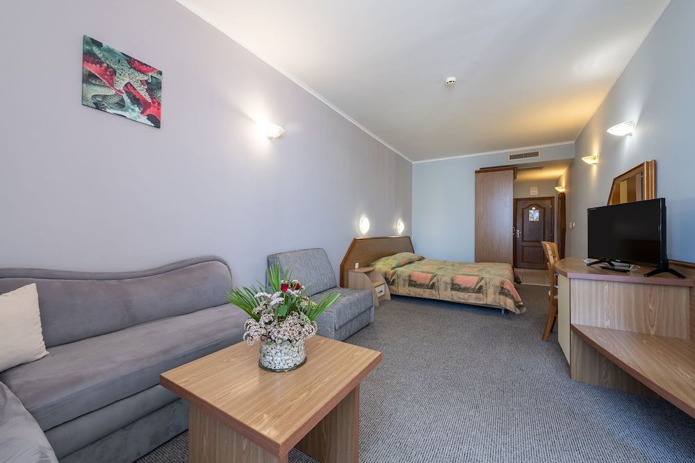 Comfort Double Room, Balcony (Park View)
