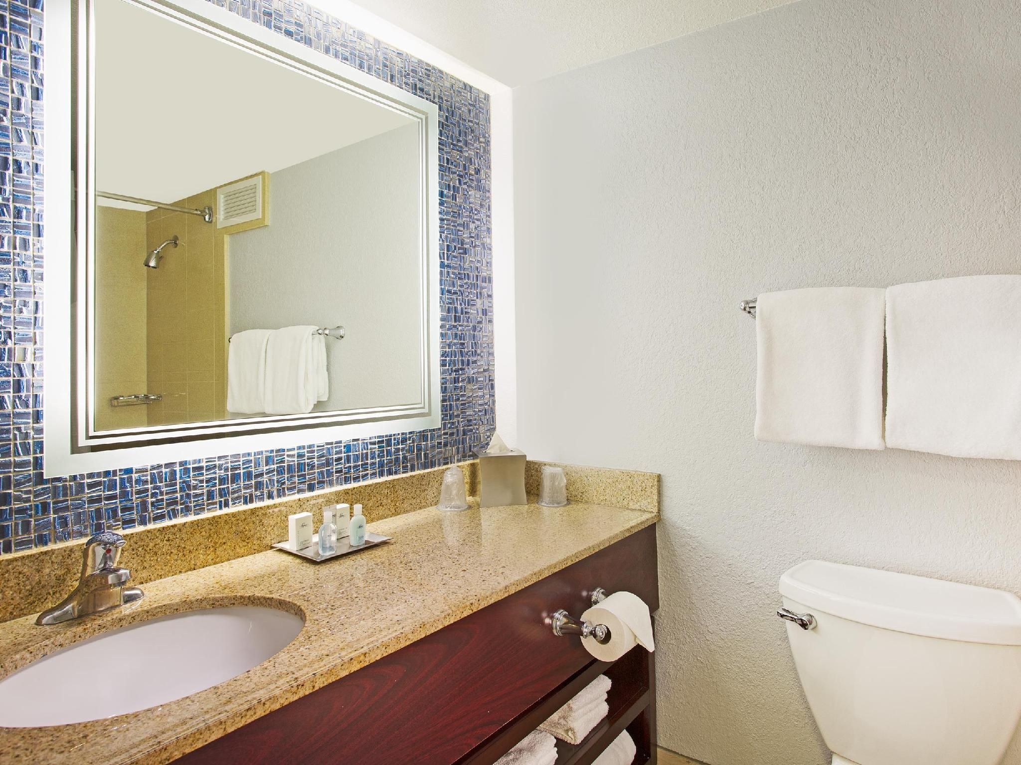 1 King Bed Non-Smoking Disney View