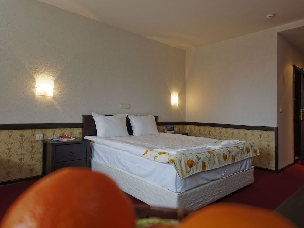 Trinity Residence Bansko Standard Double Room 7
